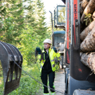 Driver with helmet and yellow safety jacket outside a truck with timber