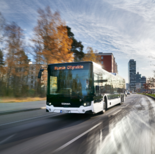 Bus on road in suburb