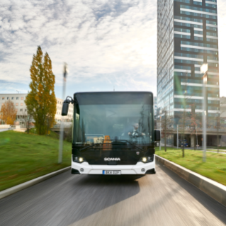 White bus on road in suburb